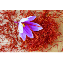 الزعفران الحر