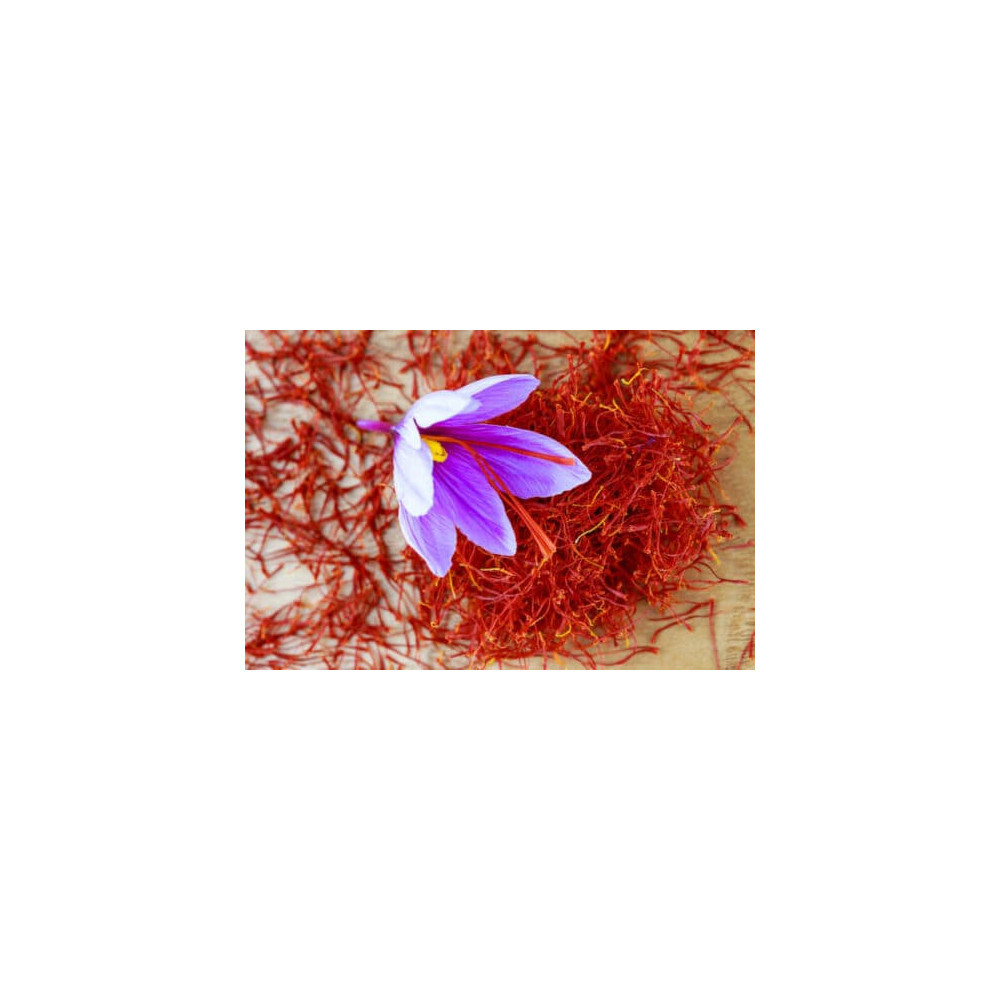 الزعفران الحر