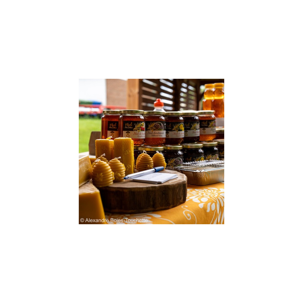 Miel Bio DAGHMOUSS 100 g